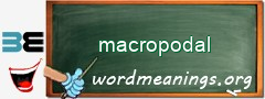 WordMeaning blackboard for macropodal